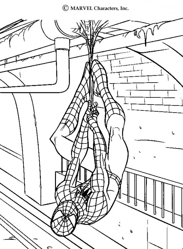 Spiderman's webs coloring pages - Hellokids.com