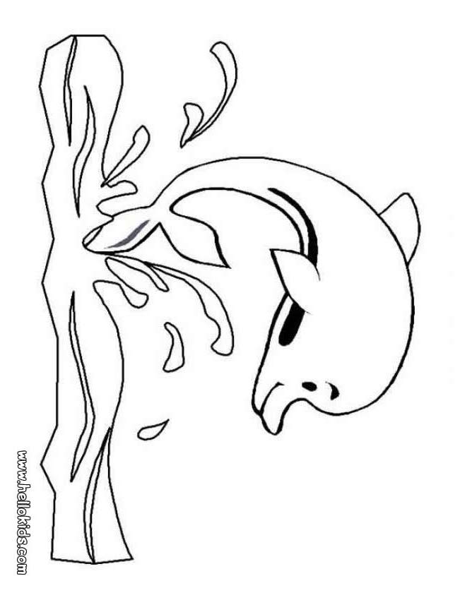 baby dolphin coloring pages - photo #24