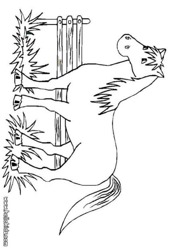 big-horse-coloring-page
