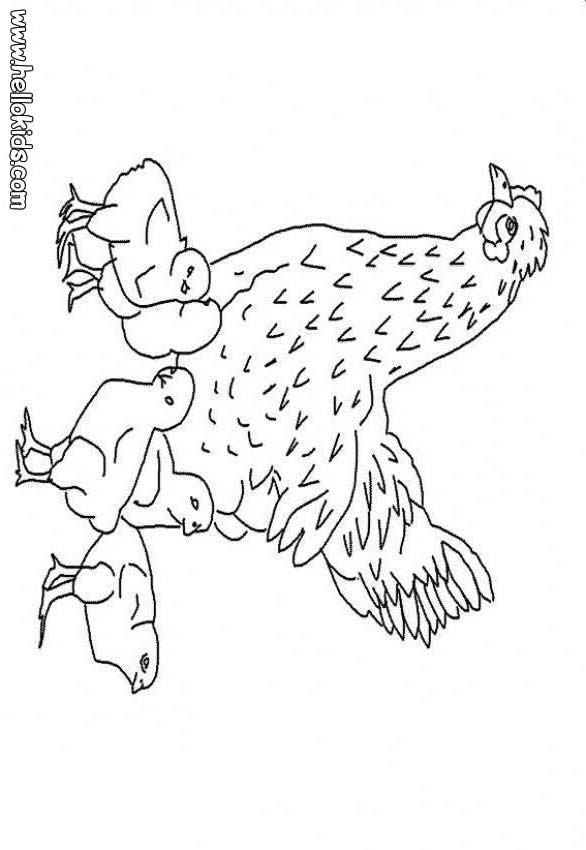 coloring pages of easter chicks. Hen with chicks coloring page
