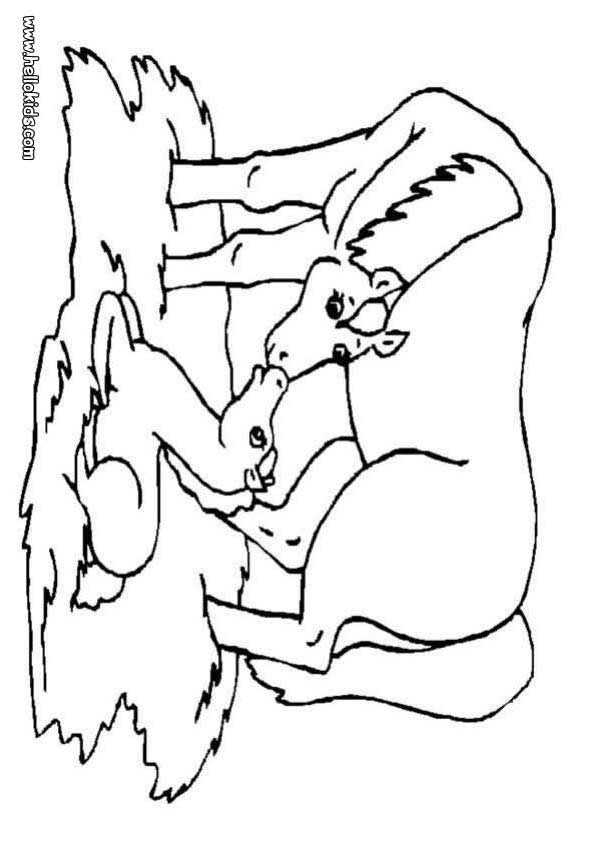 horses coloring pages. free people coloring pages