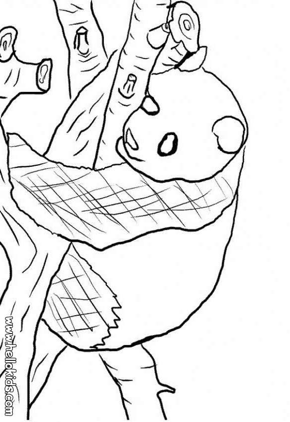 japanese animal coloring pages - photo #6
