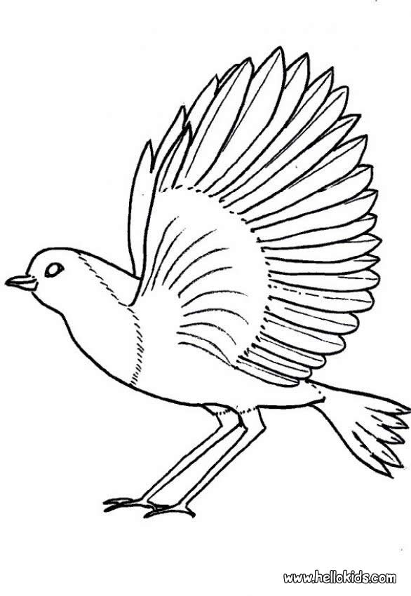 of free coloring pages for