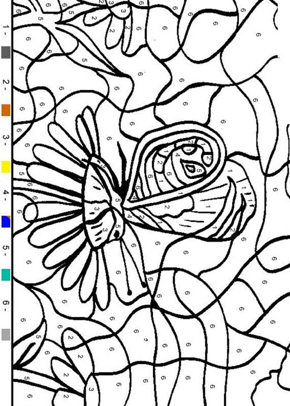 coloring pages of butterflies and. utterfly-color-by-number