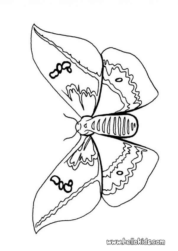 coloring pages of flowers for adults. free coloring pages of flowers