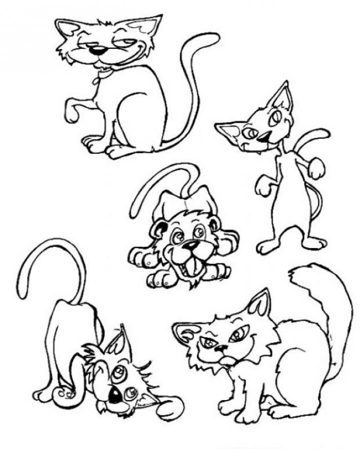 Find the intruder coloring page - CATS coloring pages : hellokids.com