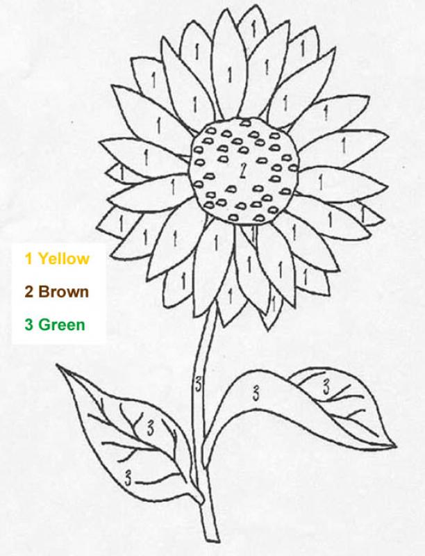 flower images to color. flower-color-by-number