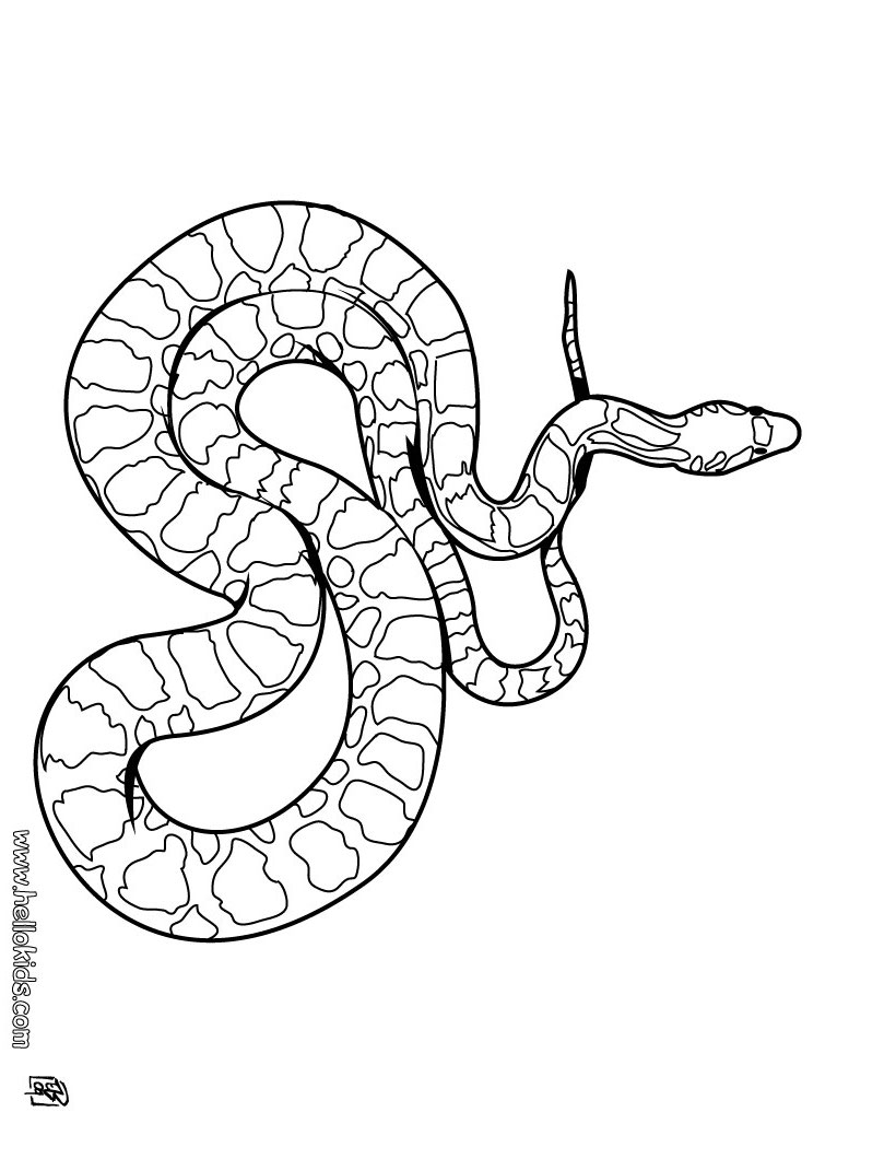 eagle and snake coloring pages - photo #22