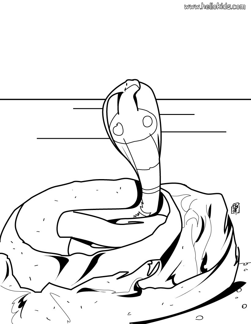 cool snakes drawings