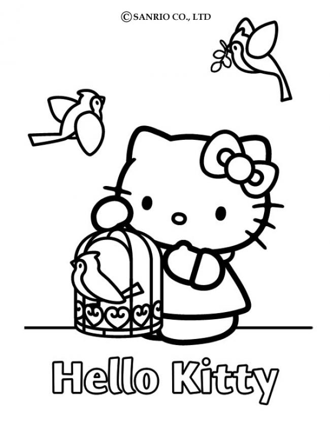 Hello Kitty Violin