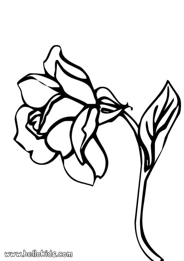 rose flower drawing. rose-coloring-page
