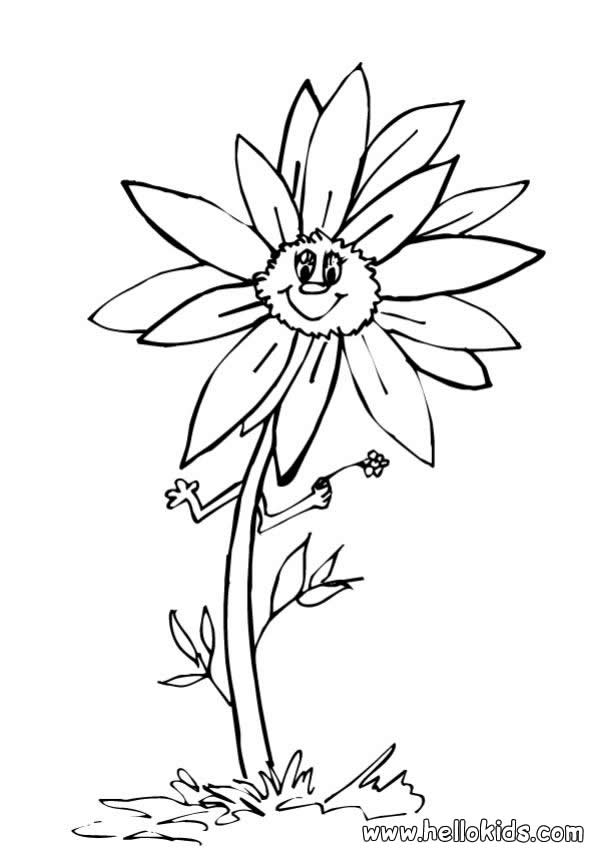 coloring pages sunflower