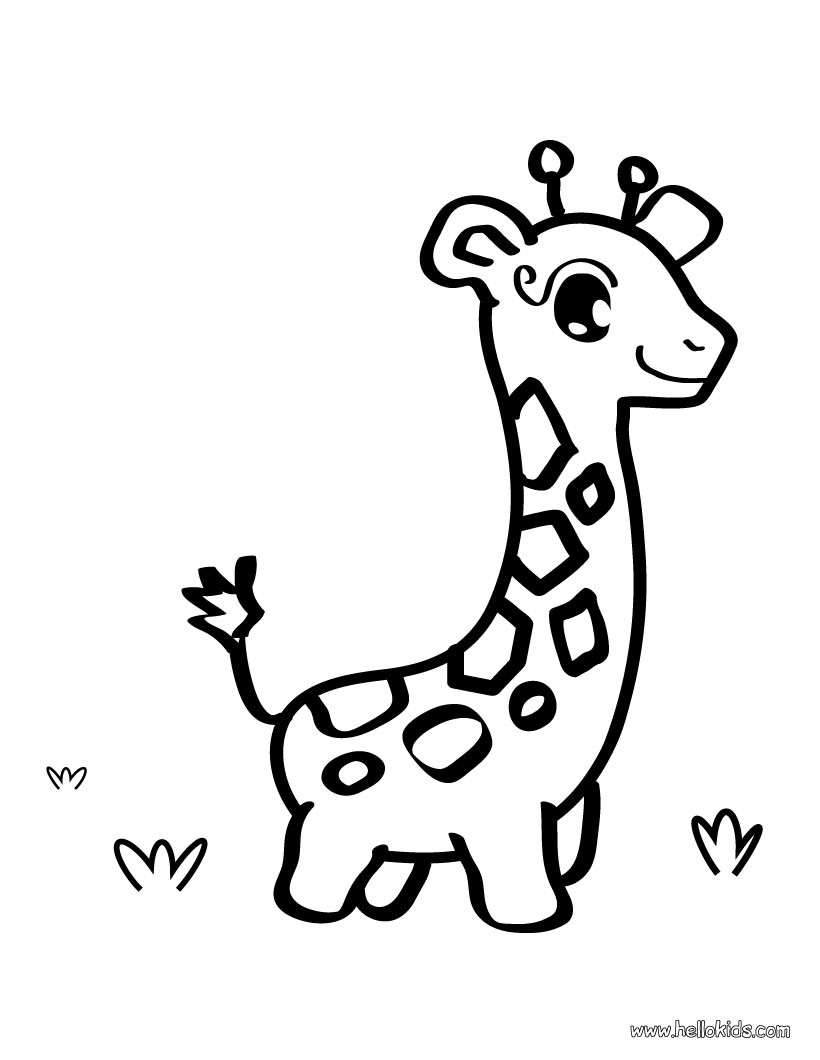 giraffe for kids