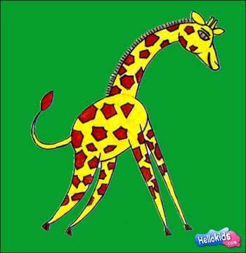 Pictures Of Giraffes In The Wild. Here is a drawing of a giraffe