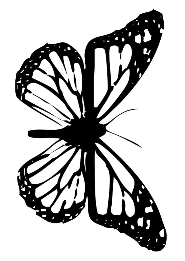 coloring pages of flowers and butterflies. Enjoy our free coloring pages!