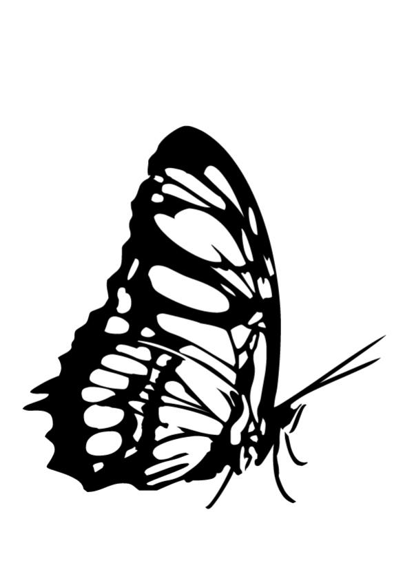 free coloring pages of flowers and butterflies. of free coloring pages for