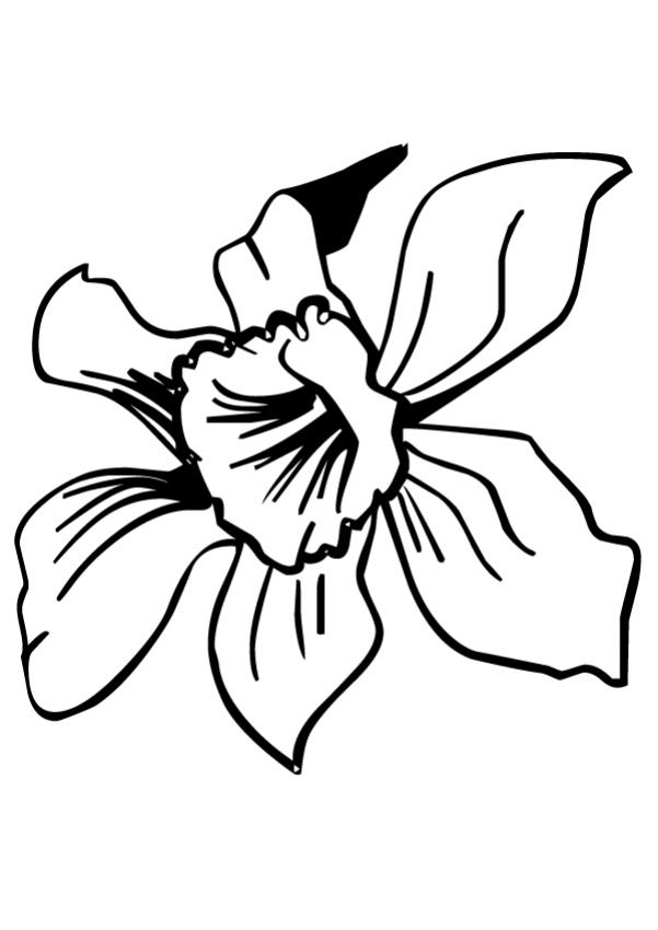 Flowers Coloring Pages title=